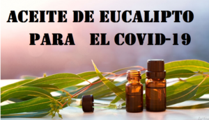 aceite de eucalipto para el covid-19 aceite de eucalipto para el covid-19