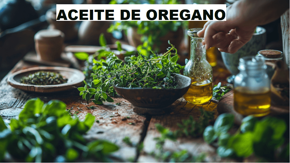 Aceite de Orégano: propiedades para tu Salud y Cocina 1 ACEITE DE OREGANO