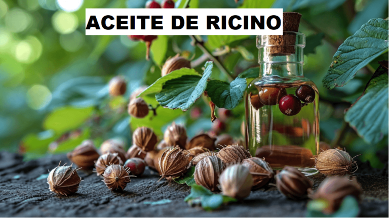 ACEITE DE RICINO