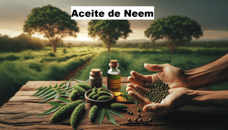aceite de neem usos