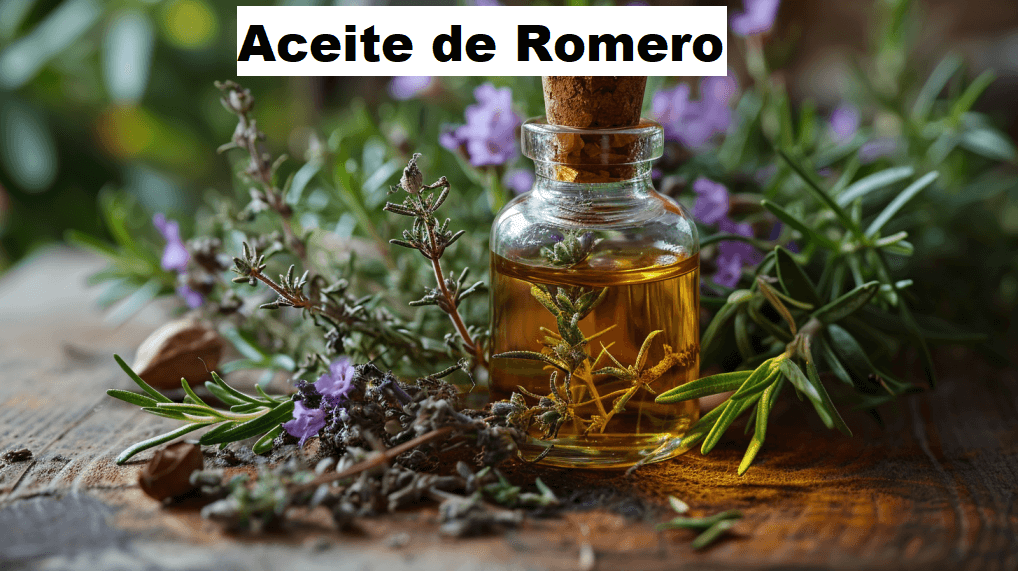 Aceite de Romero: Propiedades, Beneficios y Usos 1 aceite de romero